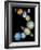 Solar System Montage-Stocktrek Images-Framed Photographic Print