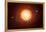 Solar System Orbits, Artwork-Detlev Van Ravenswaay-Framed Premier Image Canvas