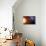 Solar System Orbits, Artwork-Detlev Van Ravenswaay-Premium Photographic Print displayed on a wall