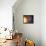 Solar System Orbits, Artwork-Detlev Van Ravenswaay-Framed Premier Image Canvas displayed on a wall