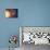 Solar System Orbits, Artwork-Detlev Van Ravenswaay-Premium Photographic Print displayed on a wall