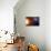 Solar System Orbits, Artwork-Detlev Van Ravenswaay-Mounted Photographic Print displayed on a wall