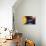 Solar System Planets-Jose Antonio-Photographic Print displayed on a wall
