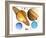 Solar System Planets-Victor Habbick-Framed Photographic Print