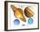 Solar System Planets-Victor Habbick-Framed Photographic Print