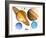 Solar System Planets-Victor Habbick-Framed Photographic Print