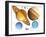 Solar System Planets-Victor Habbick-Framed Photographic Print