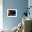 Solar System Planets-null-Framed Photographic Print displayed on a wall