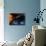 Solar System Planets-null-Photographic Print displayed on a wall
