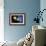 Solar System Planets-Detlev Van Ravenswaay-Framed Photographic Print displayed on a wall