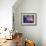 Solar System-Mehau Kulyk-Framed Photographic Print displayed on a wall