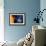 Solar System-Detlev Van Ravenswaay-Framed Photographic Print displayed on a wall