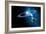 Solar System-Detlev Van Ravenswaay-Framed Photographic Print