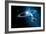 Solar System-Detlev Van Ravenswaay-Framed Photographic Print