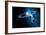 Solar System-Detlev Van Ravenswaay-Framed Photographic Print