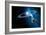 Solar System-Detlev Van Ravenswaay-Framed Photographic Print