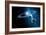 Solar System-Detlev Van Ravenswaay-Framed Photographic Print