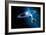 Solar System-Detlev Van Ravenswaay-Framed Photographic Print