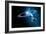 Solar System-Detlev Van Ravenswaay-Framed Photographic Print