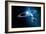 Solar System-Detlev Van Ravenswaay-Framed Photographic Print