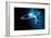 Solar System-Detlev Van Ravenswaay-Framed Photographic Print