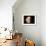 Solar Wind Stripping Atmosphere from Mars-null-Framed Photographic Print displayed on a wall