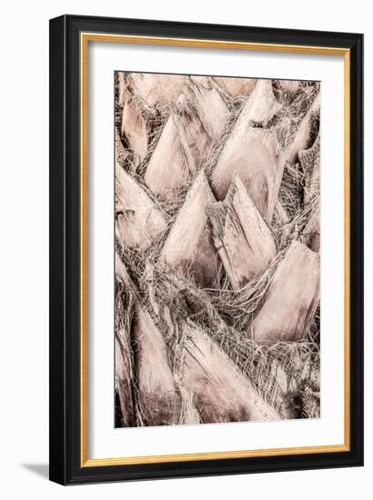 Solaris 07-Pictufy Studio III-Framed Giclee Print