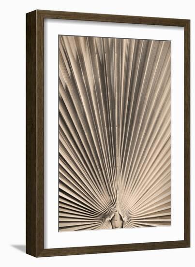 Solaris 07-Pictufy Studio III-Framed Giclee Print