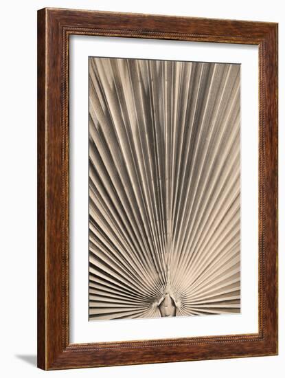 Solaris 07-Pictufy Studio III-Framed Giclee Print