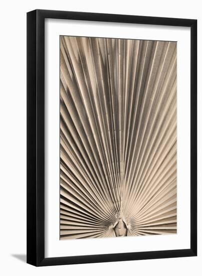 Solaris 07-Pictufy Studio III-Framed Giclee Print