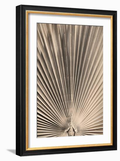 Solaris 07-Pictufy Studio III-Framed Giclee Print