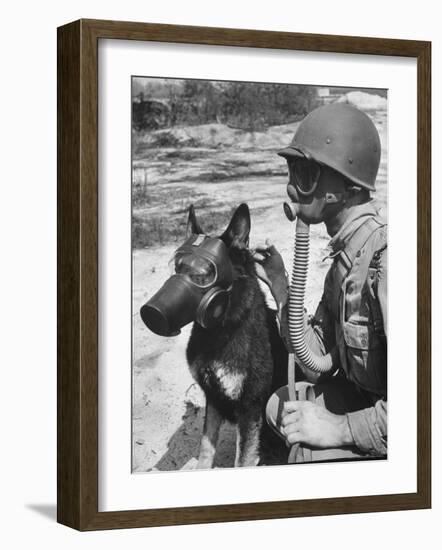 Soldier and German Shepard Wearing Gas Masks for Chemical Warfare Maneuvers-Andreas Feininger-Framed Photographic Print