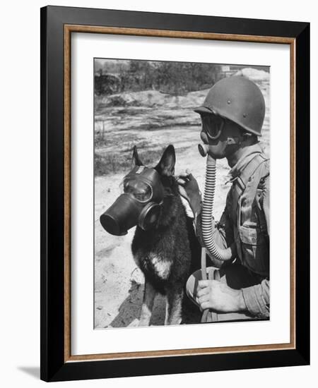 Soldier and German Shepard Wearing Gas Masks for Chemical Warfare Maneuvers-Andreas Feininger-Framed Photographic Print