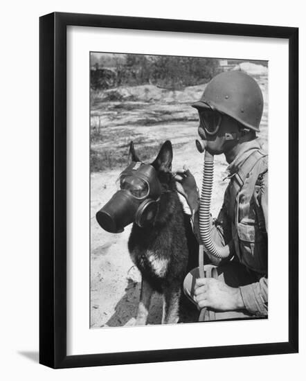 Soldier and German Shepard Wearing Gas Masks for Chemical Warfare Maneuvers-Andreas Feininger-Framed Photographic Print