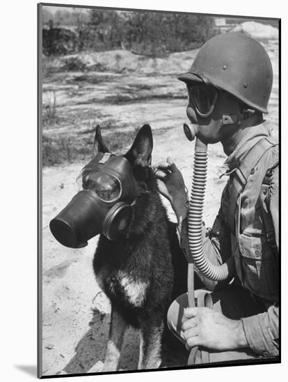 Soldier and German Shepard Wearing Gas Masks for Chemical Warfare Maneuvers-Andreas Feininger-Mounted Photographic Print