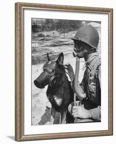 Soldier and German Shepard Wearing Gas Masks for Chemical Warfare Maneuvers-Andreas Feininger-Framed Photographic Print