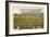 Soldier Field, Chicago, Illinois-null-Framed Premium Giclee Print