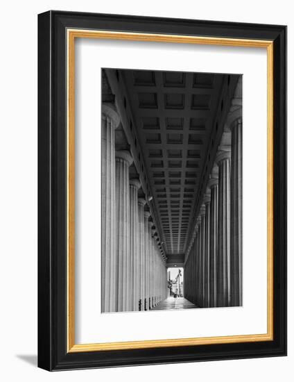 Soldier Field Colonnade Chicago BW-Steve Gadomski-Framed Photographic Print