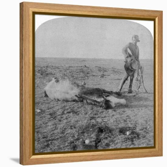 Soldier Leaving His Dead Horse on the March to Bloemfontein, South Africa, Boer War, 1901-Underwood & Underwood-Framed Premier Image Canvas