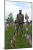 Soldier, Memorial Day,2019 (Photograph)-Anthony Butera-Mounted Giclee Print