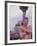 Soldier of the 11th Armored Regiment in Vietnam Taking a Shower-Co Rentmeester-Framed Photographic Print