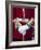 Soldier's Uniform, London, England-Rex Butcher-Framed Photographic Print