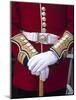 Soldier's Uniform, London, England-Rex Butcher-Mounted Photographic Print