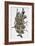 Soldier: Samurai-Totoya Hokkei-Framed Giclee Print