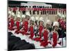 Soldiers at Trooping Colour 2012, Queen's Birthday Parade, Horse Guards, Whitehall, London, England-Hans Peter Merten-Mounted Photographic Print