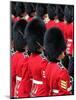 Soldiers at Trooping Colour 2012, Queen's Official Birthday Parade, Horse Guards, London, England-Hans Peter Merten-Mounted Photographic Print