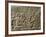 Soldiers Eating, from Military camp, relief, 7th century BC Assyrian-null-Framed Photographic Print