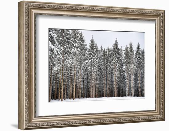 Soldiers of Winter-Philippe Sainte-Laudy-Framed Photographic Print