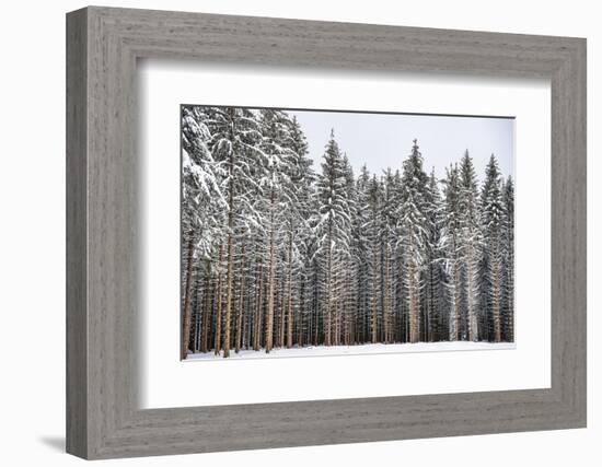 Soldiers of Winter-Philippe Sainte-Laudy-Framed Photographic Print