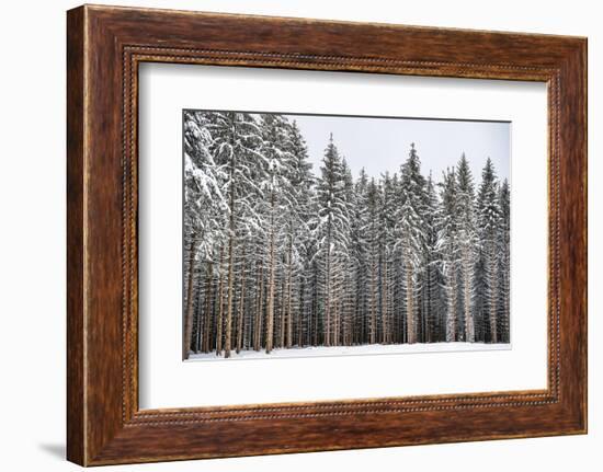 Soldiers of Winter-Philippe Sainte-Laudy-Framed Photographic Print